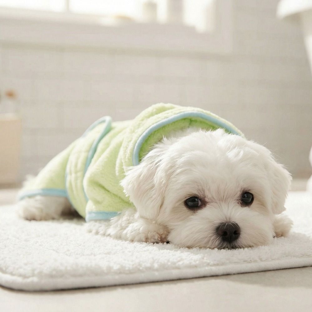 Super Absorbent Dog Hooded Bat - đánh giá và giá Hooded Bath Towel